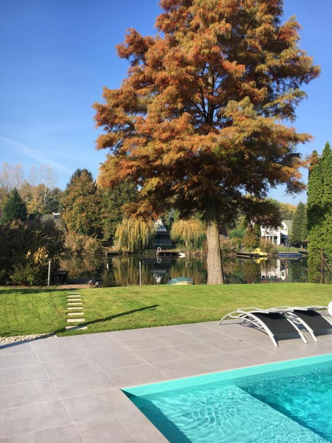 Bony Resort Сарвас Екстериор снимка